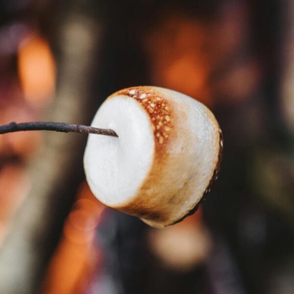 ounaskoski-camping-rovaniemi-aktiviteetit-19-aspect-ratio–